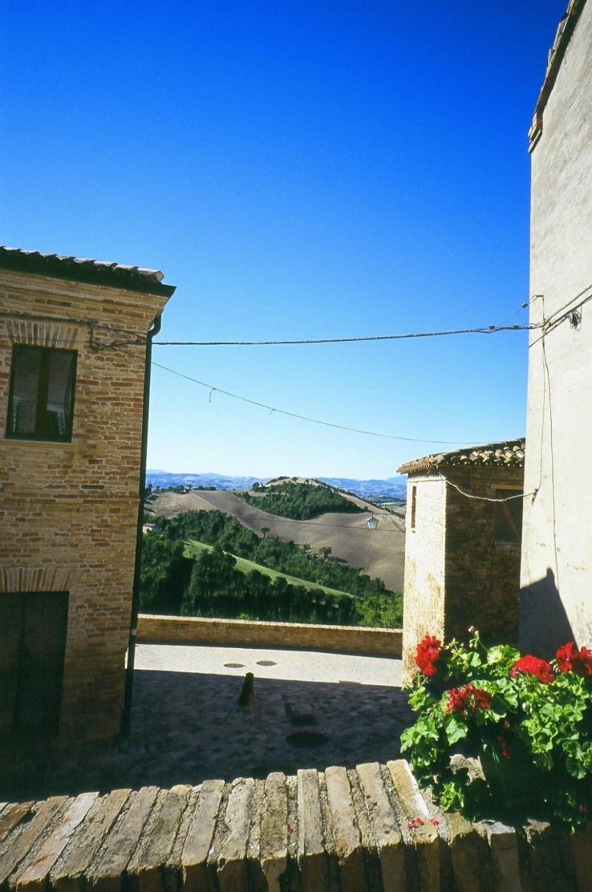 Agriturismo Pozzuolo Serrungarina エクステリア 写真