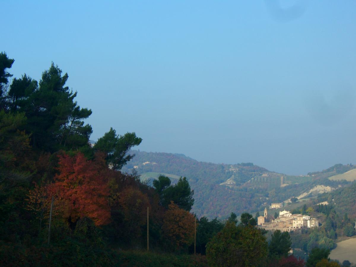 Agriturismo Pozzuolo Serrungarina エクステリア 写真