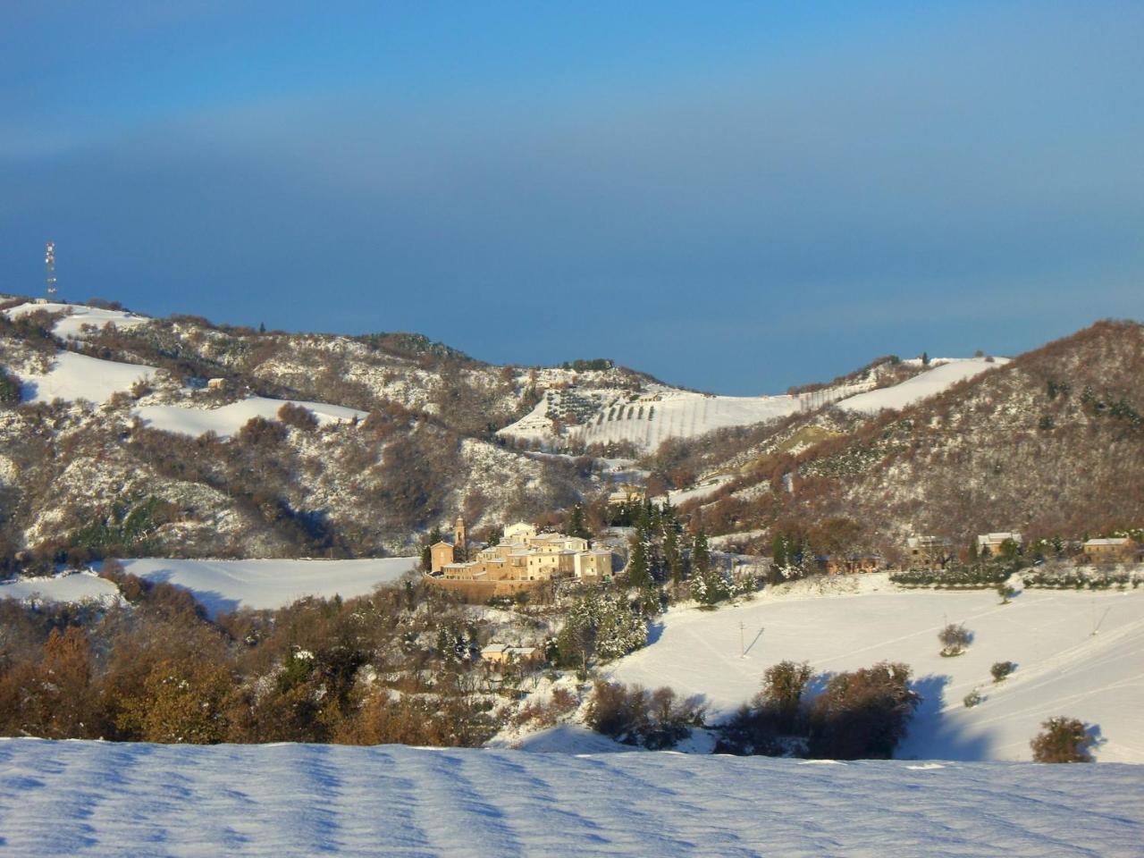 Agriturismo Pozzuolo Serrungarina エクステリア 写真