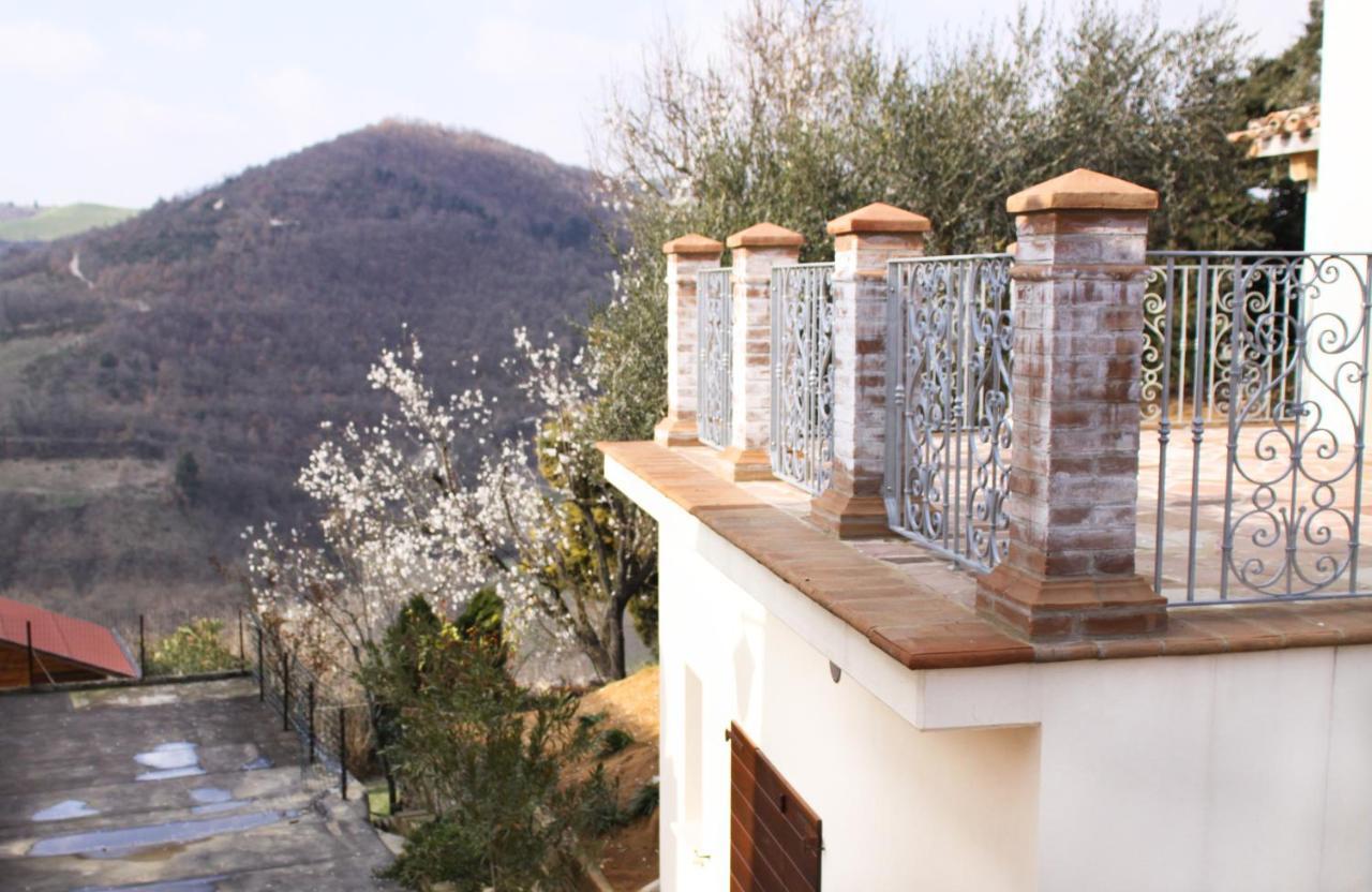 Agriturismo Pozzuolo Serrungarina エクステリア 写真