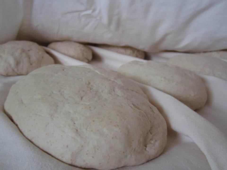 Agriturismo Pozzuolo Serrungarina エクステリア 写真